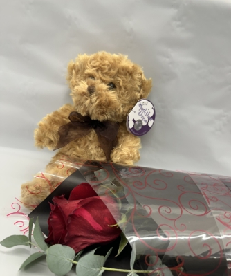 Single red rose and teddy